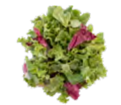 Picture of SALLAD PROVENCE 4X500G