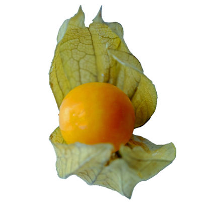 Picture of PHYSALIS LÖSVIKT CO 1,5 KG