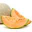 Picture of MELON CANTALOUPE ES 10KG