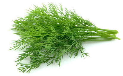 Picture of DILL IT/ES 3KG