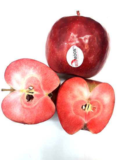 Picture of ÄPPLE RED LOVE IT 13KG