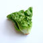 Picture of ROMAN "LITTLE GEM" 12X2-PACK