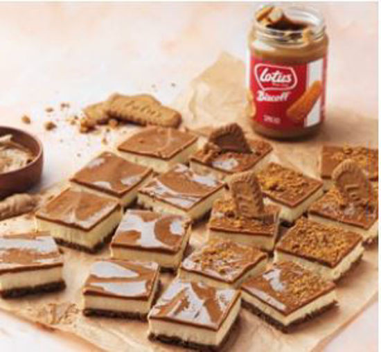 Picture of CHEESECAKE LOTUS BISCOFF 16ST