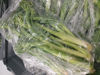 Picture of BROCCOLISPARRIS SE 500G