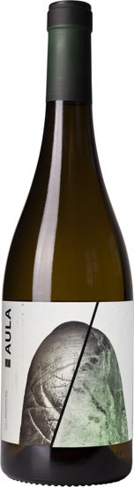 Picture of AULA VERDEJO 2020 6X75CL