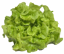 Picture of SALLAD EKBLAD GRÖN SE 8ST