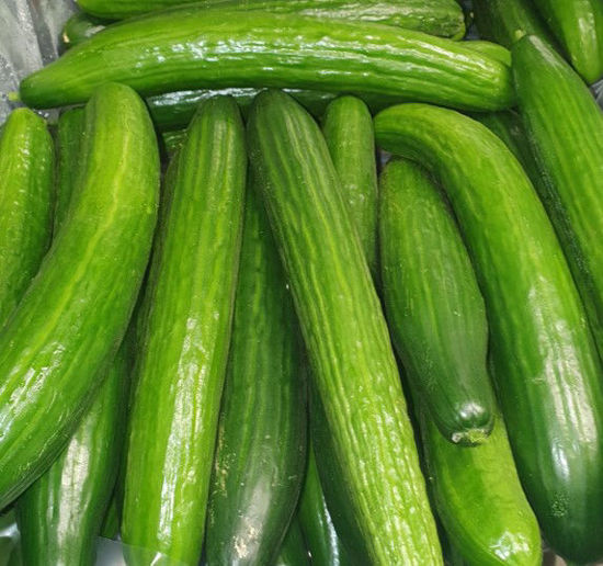 Picture of GURKA OFILMAD SE 12KG
