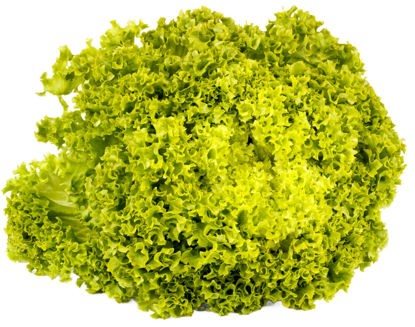 Picture of SALLAD LOLLO BIONDA SE L 8ST